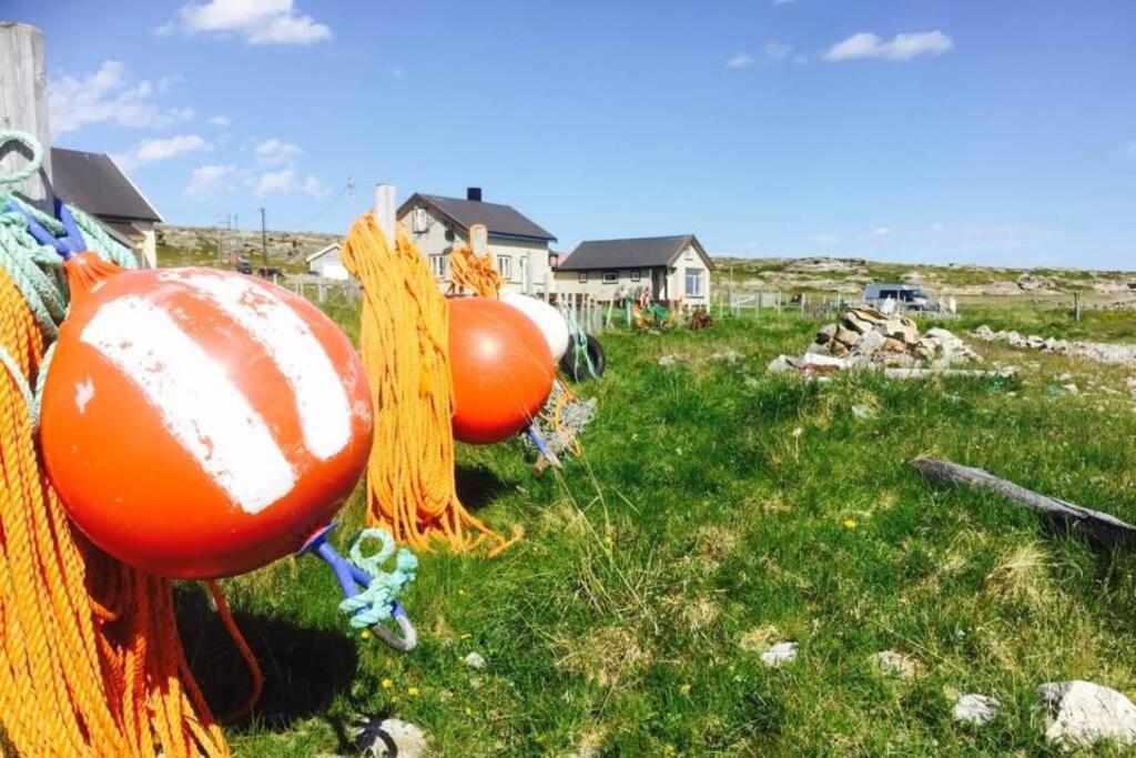 Arctic House By The Sea, Vadso, Varanger Eksteriør bilde